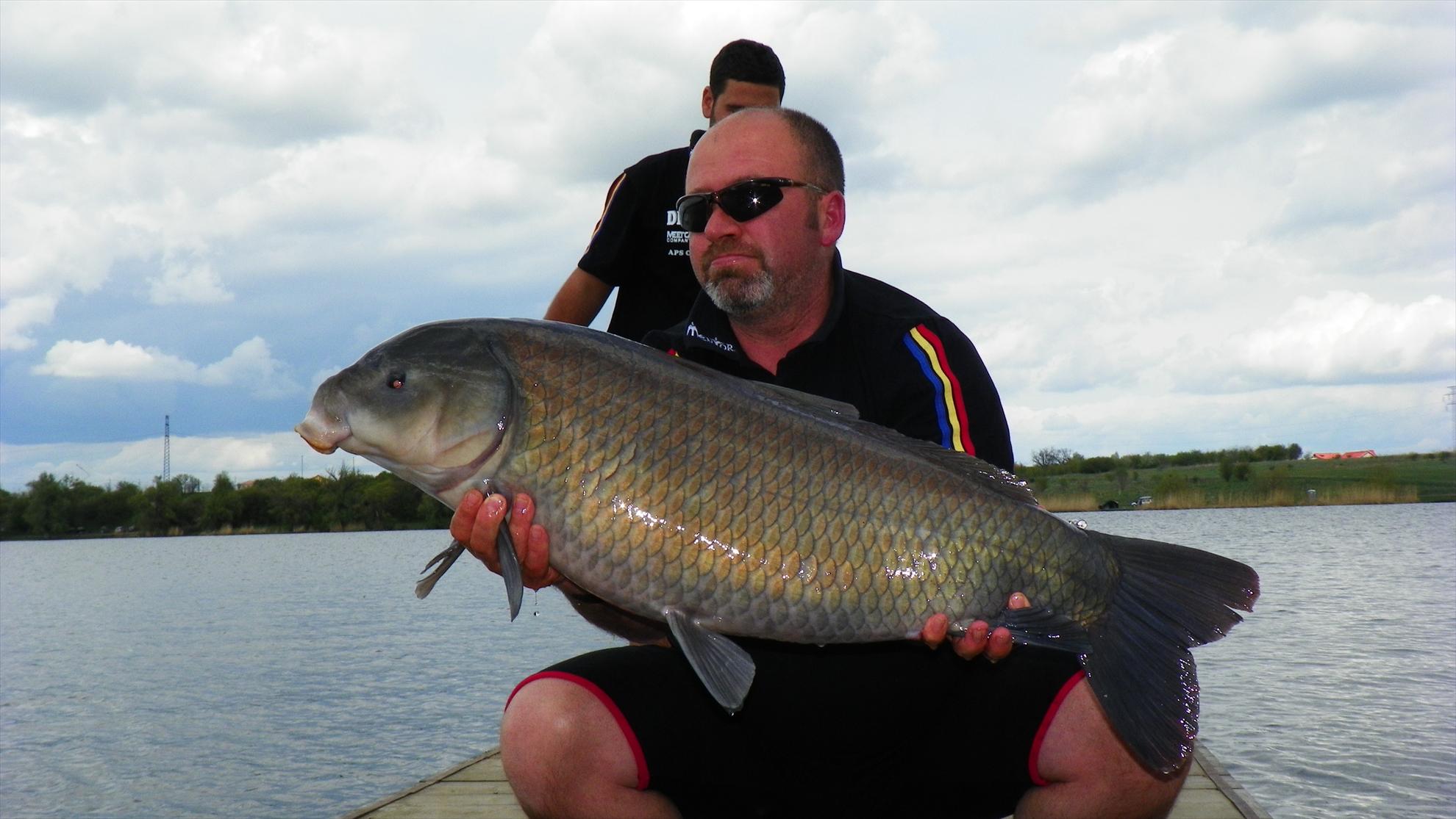 Buffalo Carp - Tancabesti - 1000801.JPG